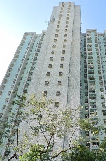 富強苑富寧閣 (B座), 富康閣 (C座)